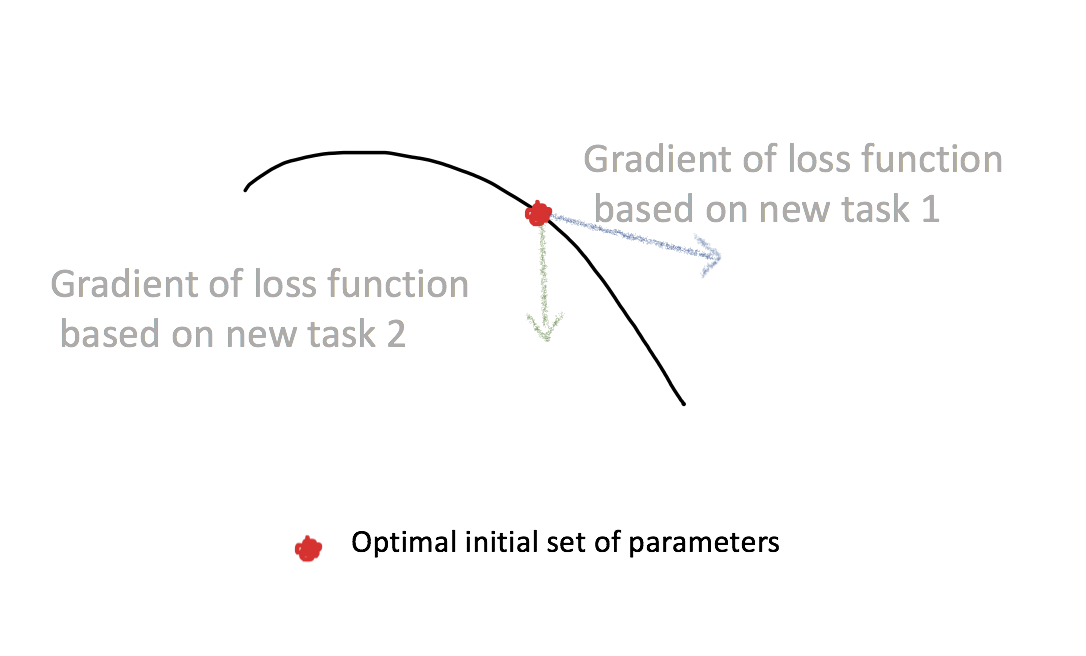 The optimal initial set of network parameters is sensitive to changes in new tasks.