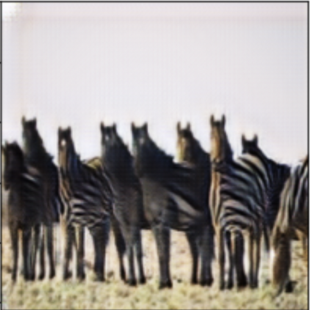 Learned image of zebras