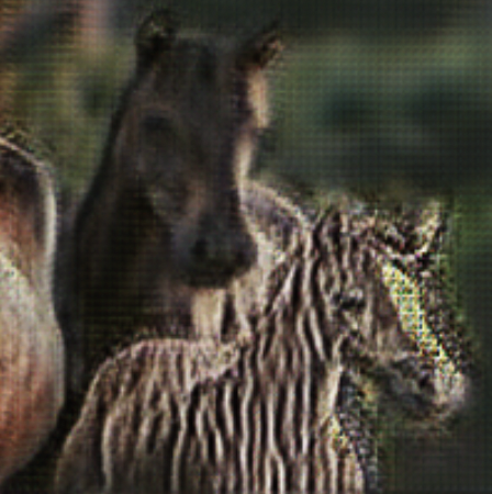 Learned image of zebras
